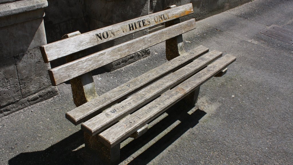 A bench in Cape Town. 'Whites only' benches have been removed from the city.