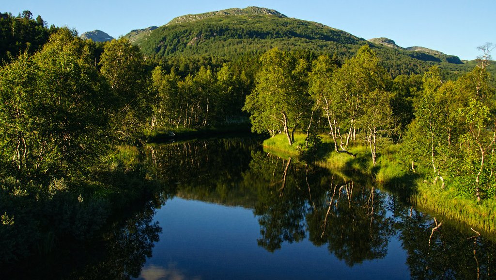 Der er både søer, skove og bjerge i de nordiske lande.