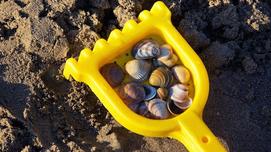 Tag med til stranden, og find fine skaller og flotte sten.