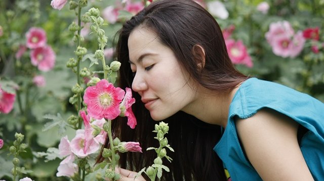 Når du dufter til en blomst, kommer du måske i tanke om en begivenhed, der har betydet noget for dig. Det er en erindring.